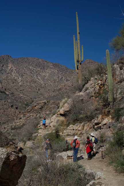 at the top of the shuttle line where several hiking trails begin